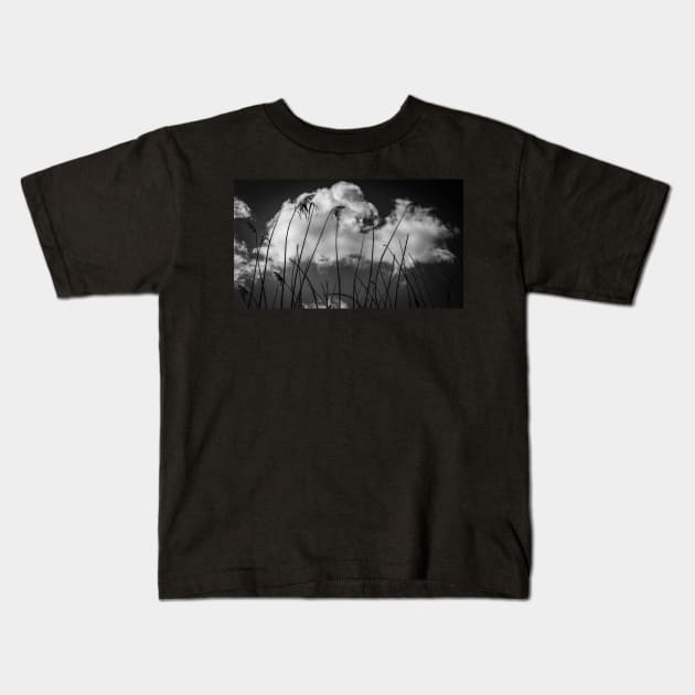 Grass In The Clouds Kids T-Shirt by axp7884